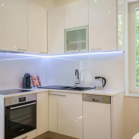 Dalmat Blue * スプリト