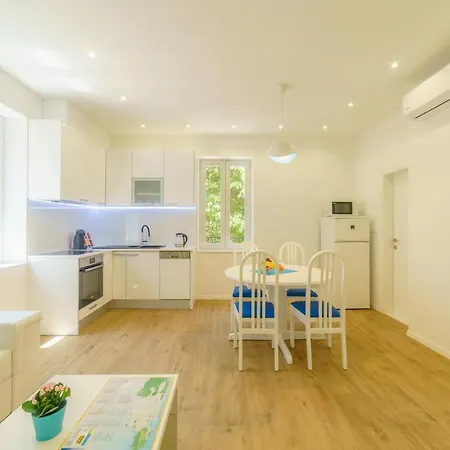 Dalmat Blue * スプリト